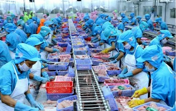 Kiên Giang: Công nghiệp khởi sắc, thương mại bùng nổ trong tháng 5/2025