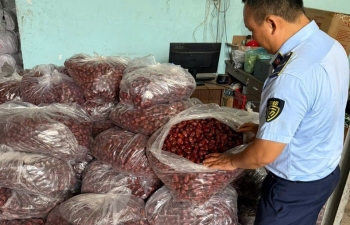 TP. Hồ Chí Minh thu giữ hơn 8.000 sản phẩm thực phẩm không rõ nguồn gốc