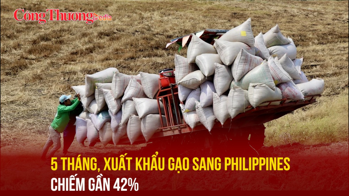 5 tháng, xuất khẩu gạo sang Philippines chiếm gần 42%