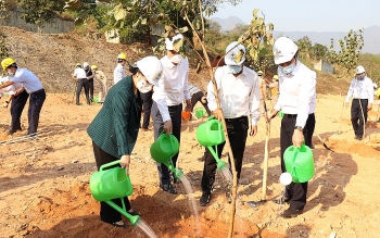 EVN phấn đấu trồng 1 triệu cây xanh giai đoạn 2021-2025