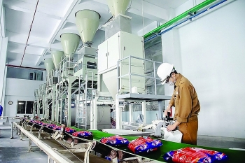 Phát triển ngành công nghiệp hoá chất theo mô hình của kinh tế tuần hoàn