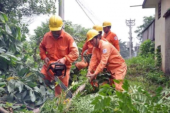 Bộ Công Thương: Thực hiện nhiều giải pháp, đảm bảo cấp điện an toàn trong mùa mưa bão