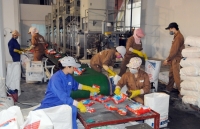 Công đoàn Công Thương Việt Nam: Mục tiêu kết nạp 11.000 đoàn viên