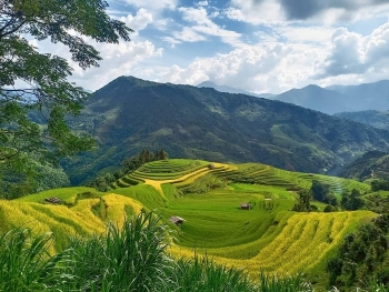 Trung du và miền núi phía Bắc: Tiềm năng chờ được 