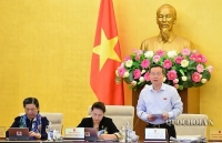 Không quy định mở rộng đối tượng kiểm toán nhưng có xét đến những trường hợp đặc biệt