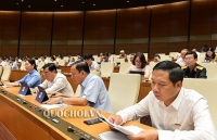 Tăng tuổi nghỉ hưu tuỳ đối tượng, lĩnh vực, địa bàn, ngành nghề