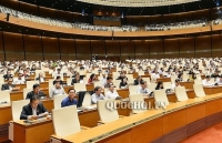 Chưa thống nhất quy định về ngành, nghề cấm đầu tư kinh doanh