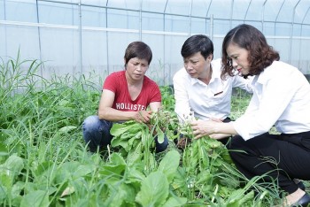 Đồng vốn ngân hàng đồng hành, tiếp sức nông nghiệp, nông thôn