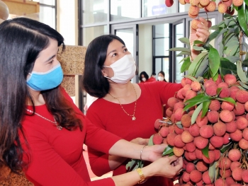 Xúc tiến thương mại: Thúc đẩy tiêu thụ sản phẩm trong và ngoài nước