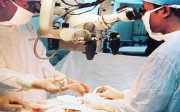 Phát triển công nghệ loại bỏ protein trong cao su tự nhiên