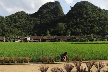 Cao Bằng: Bảo tồn nghề làm hương truyền thống của người Nùng An