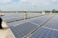 Đầu tư nước ngoài trong các dự án điện năng lượng tái tạo sẽ mang lại lợi ích tổng thể