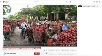 Bắc Giang lên tiếng về thông tin vải thiều giá 5 nghìn đồng/kg