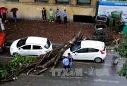 Hà Nội: Giông lốc bất ngờ làm cây xanh đổ đè lên ô tô