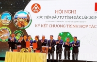Hội nghị xúc tiến đầu tư tỉnh Đắk Lắk - 2019: Thu hút đầu tư đa dạng