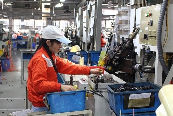 Những kết quả bước đầu sau 2 năm thực hiện Kế hoạch số 04-KH/BCSĐ theo mục tiêu, định hướng của Nghị quyết số 19-NQ/TW ngày 25 tháng 10 năm 2017