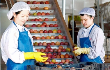 Hợp tác thương mại Việt Nam - Canada: Nhiều dư địa phát triển