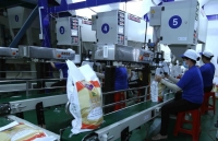 Nhu cầu yếu khiến giá gạo của Ấn Độ và Việt Nam đi xuống