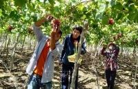 Phát triển loại hình du lịch cộng đồng tại Ninh Thuận