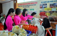 Xây dựng nông thôn mới ở Quảng Ninh: Nhiều chỉ tiêu vượt trội hơn so với cả nước
