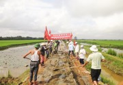 Thi đua “Cả nước chung sức xây dựng nông thôn mới”