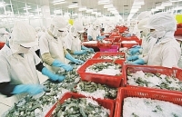 Thương mại Việt Nam - EU: Hành trang để tiến vào EVFTA