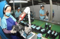 Kỳ vọng cải thiện toàn diện môi trường kinh doanh