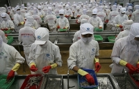 Xúc tiến thương mại tại Hậu Giang: Đi vào thực chất