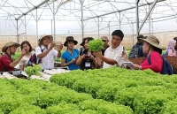Huyện Đông Anh: Phát triển đa dạng các loại hình kinh tế