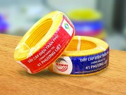 Công ty CP  Cơ điện Trần Phú: Thay nhãn mới sau khi nhận biểu trưng Vietnam Value