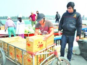 Hàng Việt vượt sóng ra đảo