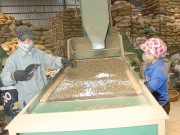 Yên Bái: Đa dạng hóa nội dung khuyến công