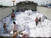 Đẩy mạnh giao thương Việt Nam - Cuba