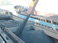 Xuất khẩu than giảm 39%