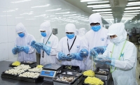 Thủ tục hải quan vẫn còn gây phiền hà cho doanh nghiệp Nhật Bản