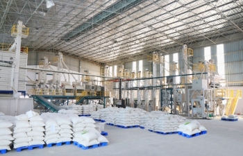 Xuất khẩu gạo sẽ nhộn nhịp hơn từ cuối tháng 3/2022