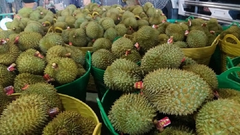 Giá thực phẩm hôm nay 6/12: Giá sầu riêng tăng cao