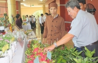 Tiền Giang: Đẩy mạnh xúc tiến thương mại cho nông sản trong tâm dịch nCoV