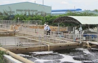 Năm 2020 TP. Hồ Chí Minh xử lý triệt để trên 95% các cơ sở gây ô nhiễm môi trường