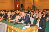 Việt Nam đạt được gần 99% tỷ lệ điện khí hóa