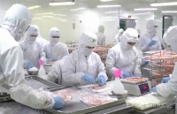 Chuyên gia, doanh nghiệp bàn giải pháp phục hồi nhanh kinh tế TP. Hồ Chí Minh