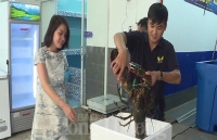 TP. Hồ Chí Minh: Thị trường thực phẩm cao cấp sôi động