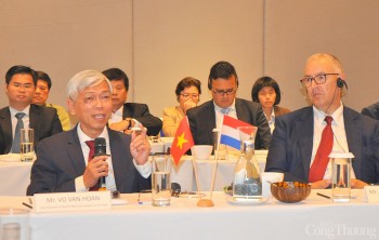 TP. Hồ Chí Minh: Đẩy mạnh hợp tác chống biến đổi khí hậu để phát triển đô thị bền vững