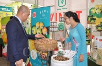 Bình Phước: Chỉ số công nghiệp 9 tháng tăng 11,35% so với cùng kỳ năm 2017