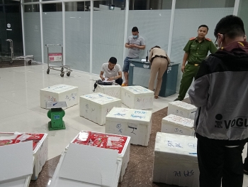 Lâm Đồng: Phát hiện 214kg dâu tây nghi của Trung Quốc 