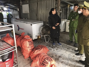 Ngăn chặn thực phẩm bẩn tại Hà Tĩnh dịp Tết