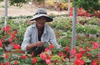 Đăng ký bảo hộ sở hữu trí tuệ gắn liền với lợi ích của doanh nghiệp