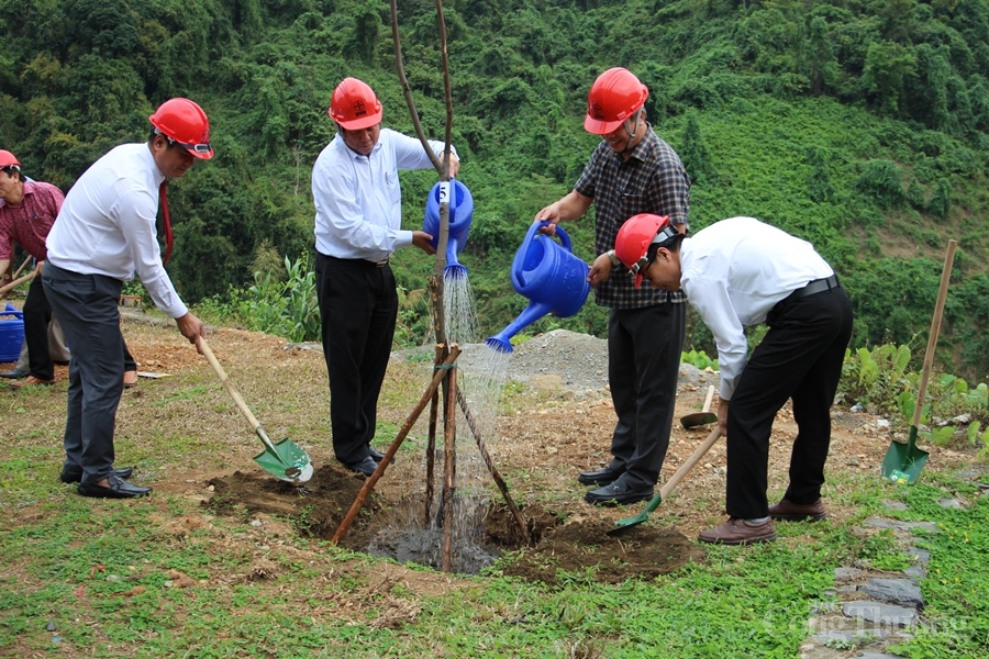 Thủy điện A Vương: Trồng mới và chăm sóc 5.000 cây xanh giai đoạn 2021 – 2025