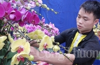 “Trăm hoa khoe sắc” chợ hoa xuân Vạn Phúc