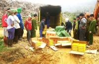 Lào Cai: Trị giá hàng hóa vi phạm pháp luật tăng 300%